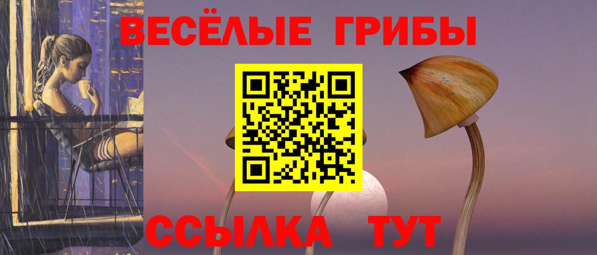 Апрелевка  Галлюциногенные грибы Cubensis  Вход с VPN 